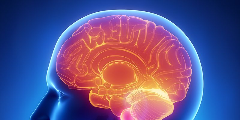 Brain Perfusion